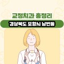 경상북도 포항시 남빈동 교정치과 총정리