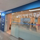 제트이비인후과의원 네이버블로그