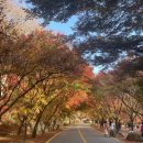 CU 정읍연지점 | 11월 첫째 주 내장산 등산 및 내장야영장 백패킹 기록