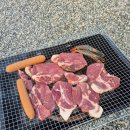 곡성 스마일키즈글램핑 캠크닉 후기 – 아이와 하루 동안 신나게 놀다 왔어요!
