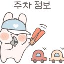 랙돌카페냐옹 이미지