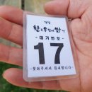 웰빙황토 우렁이 쌈밥 이미지