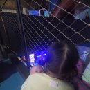 가-34 | 과천 베베핀 원더파크 싱어롱 어드벤처 34개월 방문 후기 (실내 아기랑 가볼만한곳)