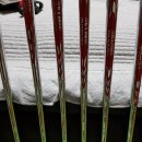 아이언피쉬 이미지