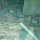 조수초등학교 이미지