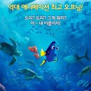 도리컴퍼니