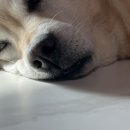 팔도세차장 | [가성비짱]10년단골 연산동 손세차#팔도스팀세차장