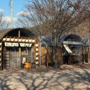 해브솔 방갈로 | 밀양 가성비숙소 해브솔 캠핑 방갈로 느좋 4번방 후기