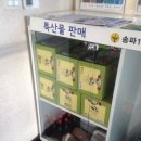 송파1동주민센터 이미지
