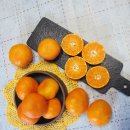 은수농장 이미지