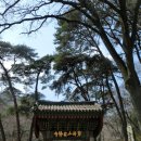 통영 안정사