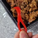 제육대가광주