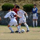 한국곰두리복지회 이미지