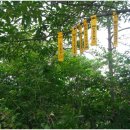 학산목장 이미지