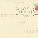 통일동산우체국 이미지