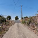 표선청년회의소 이미지