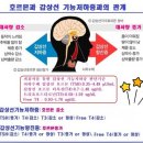 이승연산부인과 | 갑상선 기능저하증과 고지혈증의 관계 나의 후기(feat, 발병을 예방하고 극복하는 방법)