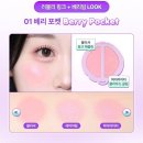 리틀브러쉬 | 하이라이터] 데이지크 폴리포켓 콜라보 리틀 블러쉬 팔레트 03 로지포켓(+듀얼브러쉬) 후기(퍼컬별 추천)