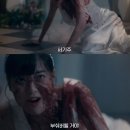 시선사진관 이미지