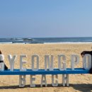 GS25경포호수점 이미지