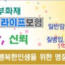 뉴베스트라이프