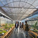 현우석농장 이미지