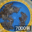 목포뻘낙지 이미지