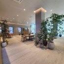 한샘플라워 | [핫플 방문] 한샘플래그십 논현! 그랜드오픈하자마자 고고~