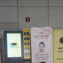 캄뷰티 보타닉가든