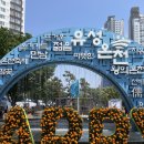 비오자원 | [대전관광공사 마이스크루] 2024 유성온천 문화축제 후기