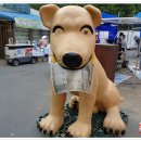 춘천번개시장 이미지