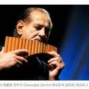 바람의 선율 팬플룻 이미지