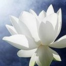 (주)현토 이미지