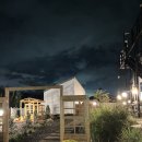 물맑음 펜션 | 경주 애견동반 펜션 “플랜비 펜션”🏡🐾 #황리단길펜션 #경주숙소