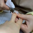 봄맞이 우리집 정리쓱싹 | 봄맞이 기분전환 성공! 센스 넘치는 강남역 패디는 여기였어요!
