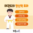 검단하나태권도장 이미지