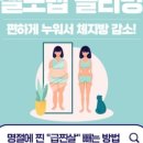 셀포랩포레