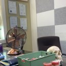 비에스치과교정과치과의원 이미지