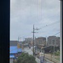 고흥영남수산 | 군산 중성화수술을 마치고 돌아온 앵두의 하루 &amp; 군산수산물종합센터 다녀온 후기까지👆☺️