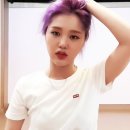 미브이