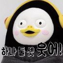 넉넉(knock knock)