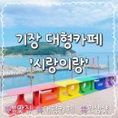 시랑이랑 | 부산 기장 바다뷰 감성카페 시랑이랑 (SR2R) 방문 내돈내산 후기
