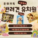 돈워리독 이미지