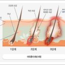 케룸