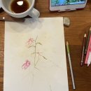 색연필로 그리는 풍경화 이미지