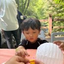의재미술관 | 문화와 자연을 함께 누리는 무등산 의재미술관 예술접목 가족행사
