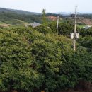 제1 농장 이미지