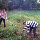 무창할머니 이미지