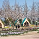 정원에 머물다 이미지