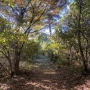 하성리마을회관 이미지